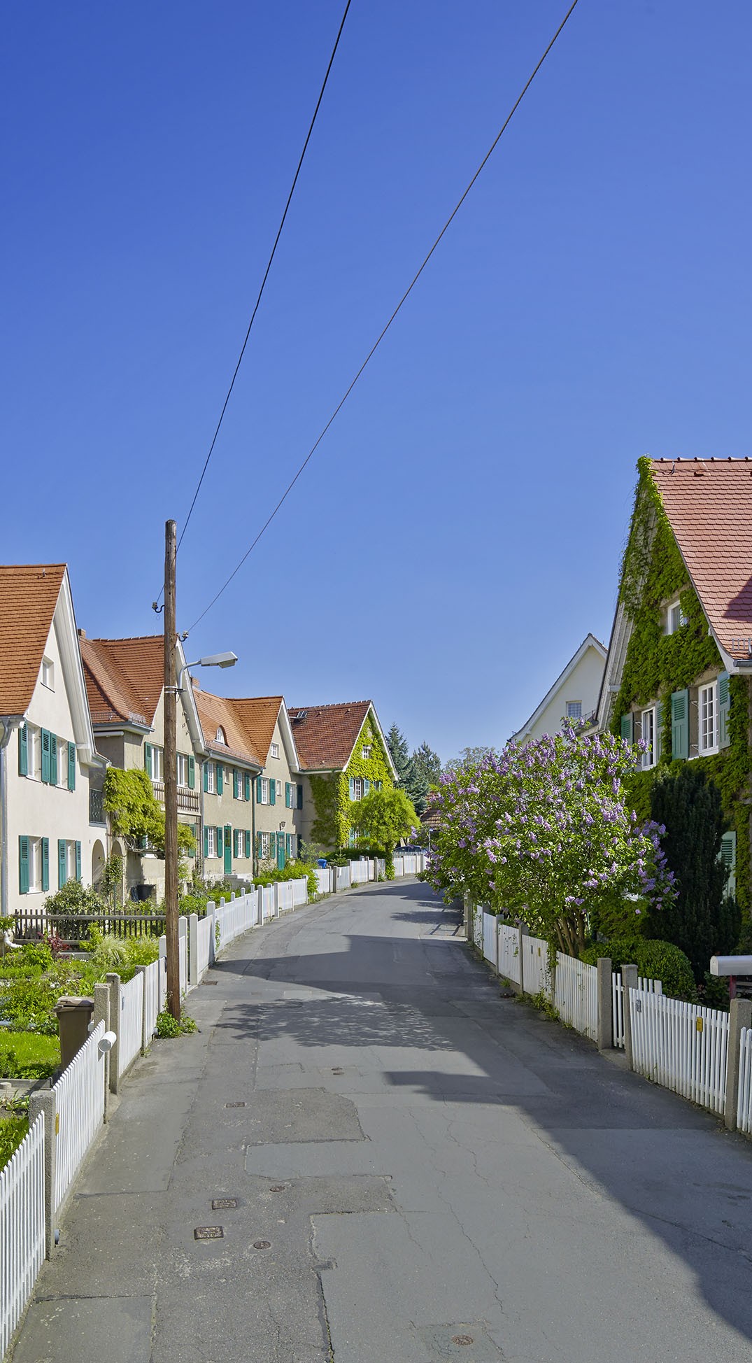 HELLERAU and the world heritage,#2 - 2022