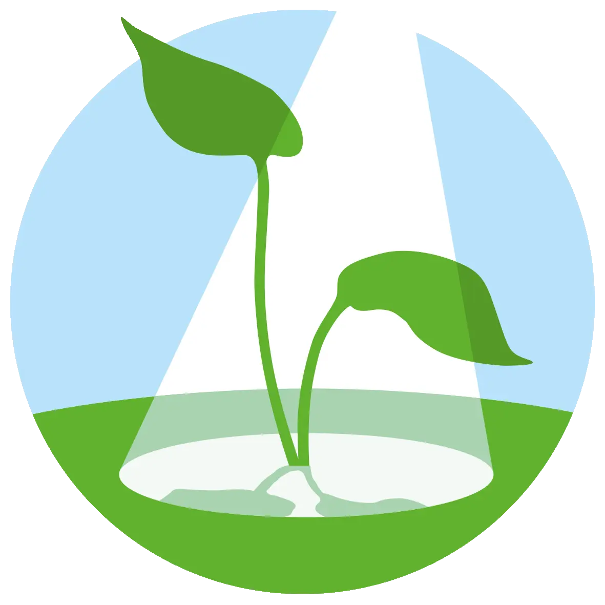 Original Logo