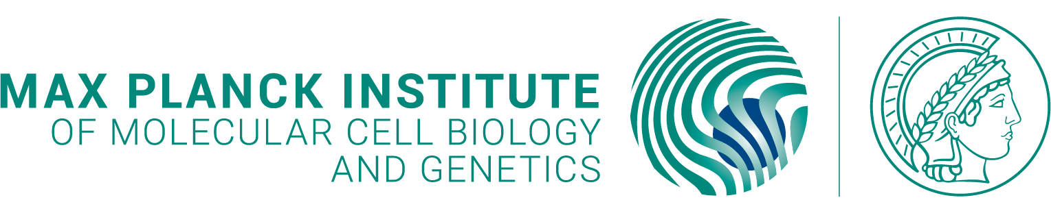 Original Logo